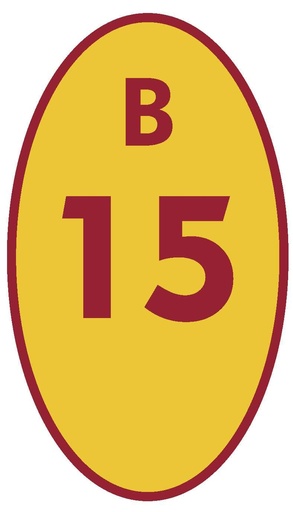 [BCN15] BICICLETERO 15