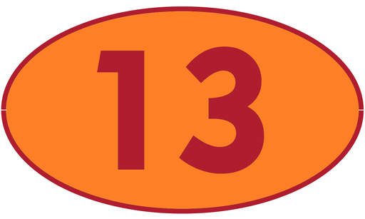 [TRR13] TRASTERO R13