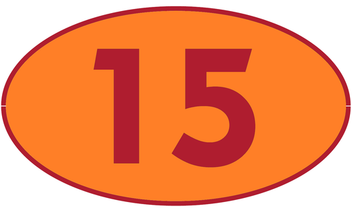 [TRR15] TRASTERO R15