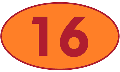 [TRR16] TRASTERO R16