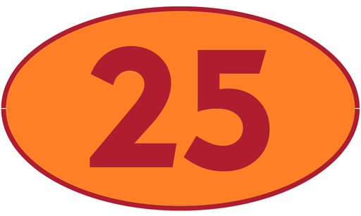 [TRR25] TRASTERO R25