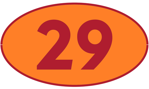 [TRR29] TRASTERO R29