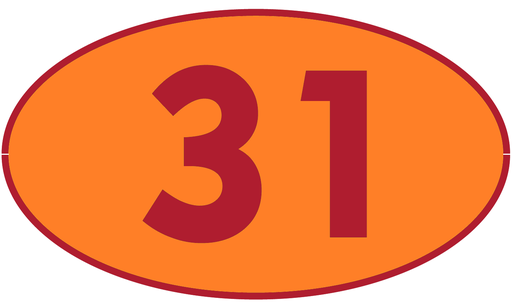 [TRR31] TRASTERO R31