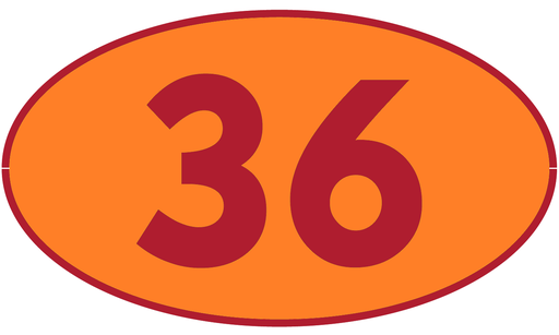 [TRR36] TRASTERO R36