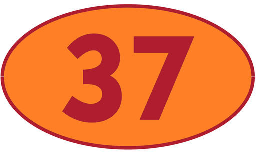 [TRR37] TRASTERO R37