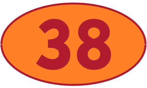 [TRR38] TRASTERO R38