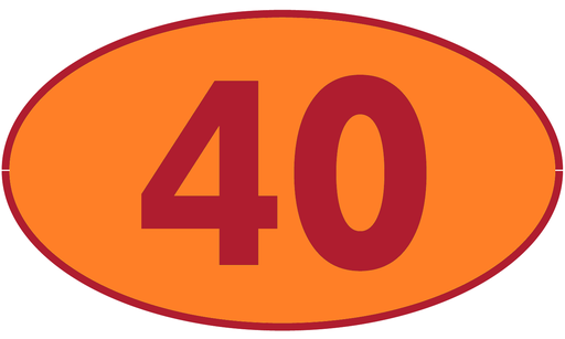 [TRR40] TRASTERO R40