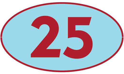 [TRT25] TRASTERO T25