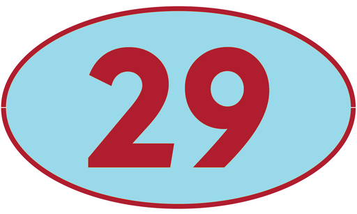 [TRT29] TRASTERO T29